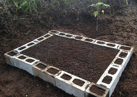 gardenbed3